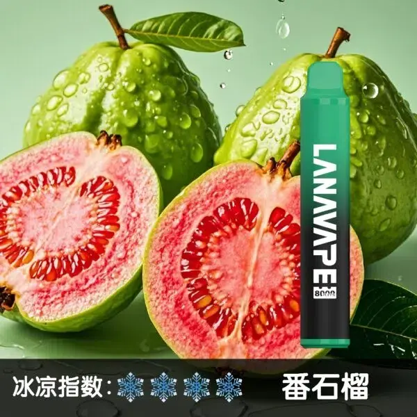 LANA ZOLT 8000口可充電一次性電子煙｜15ml大容量｜多種口味-thumb-5
